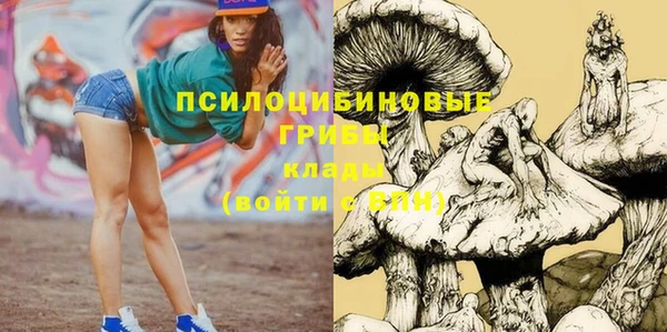 каннабис Каменка