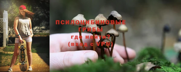 молекула духа Каменногорск