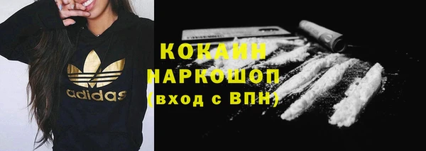 молекула духа Каменногорск