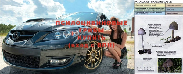 первитин Инта